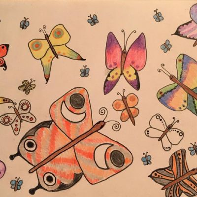 Beautiful butterflies!