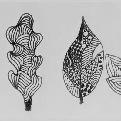 leaves