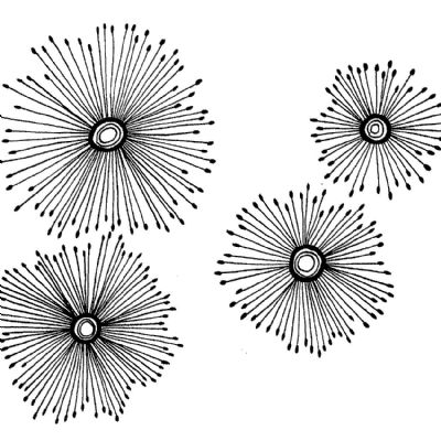 dandelions