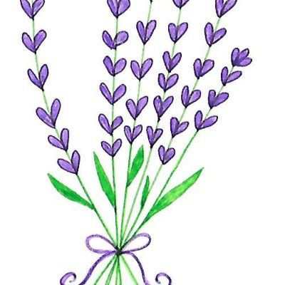 lavendar